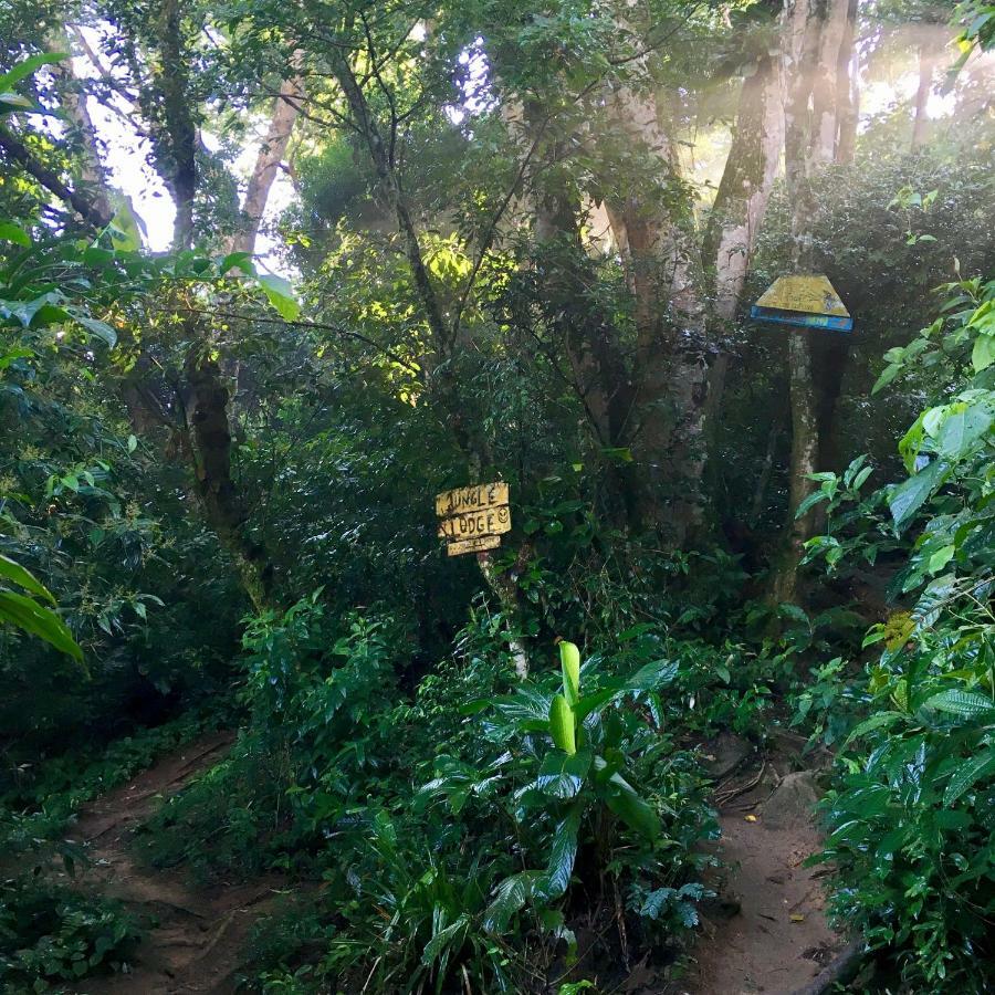 Jungle Lodge Vila do Abraao Bagian luar foto